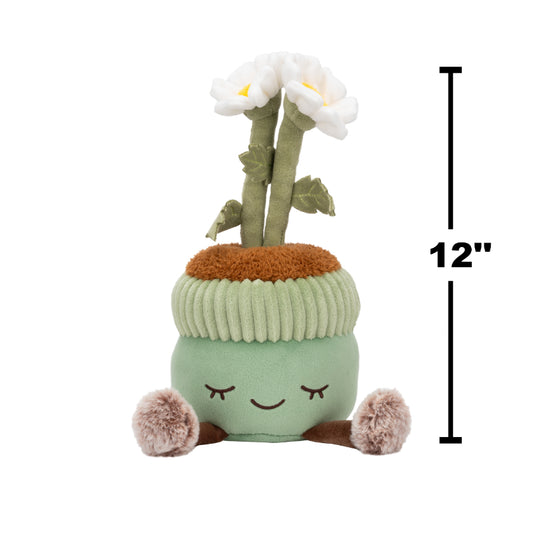 PELUCHE GREENHOUSE 12" MACETA CON MARGARITAS BLANCAS JAZWARES