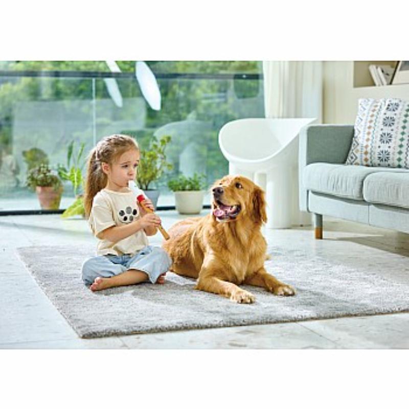 Hape flauta para músicos principiantes