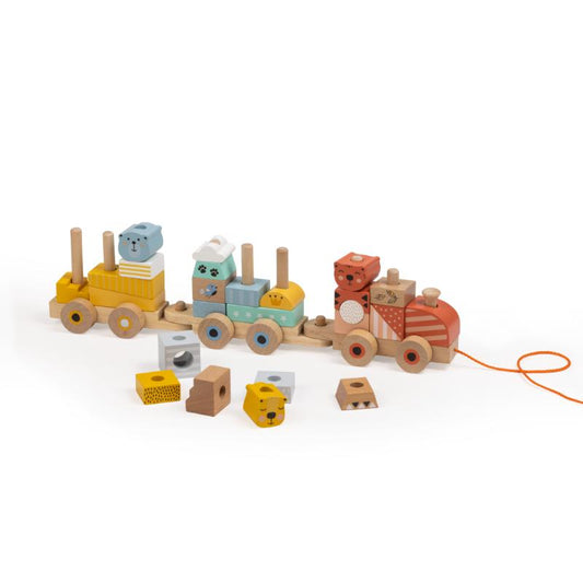 JUGUETE TREN CON BLOQUES WILD EUREKAKIDS