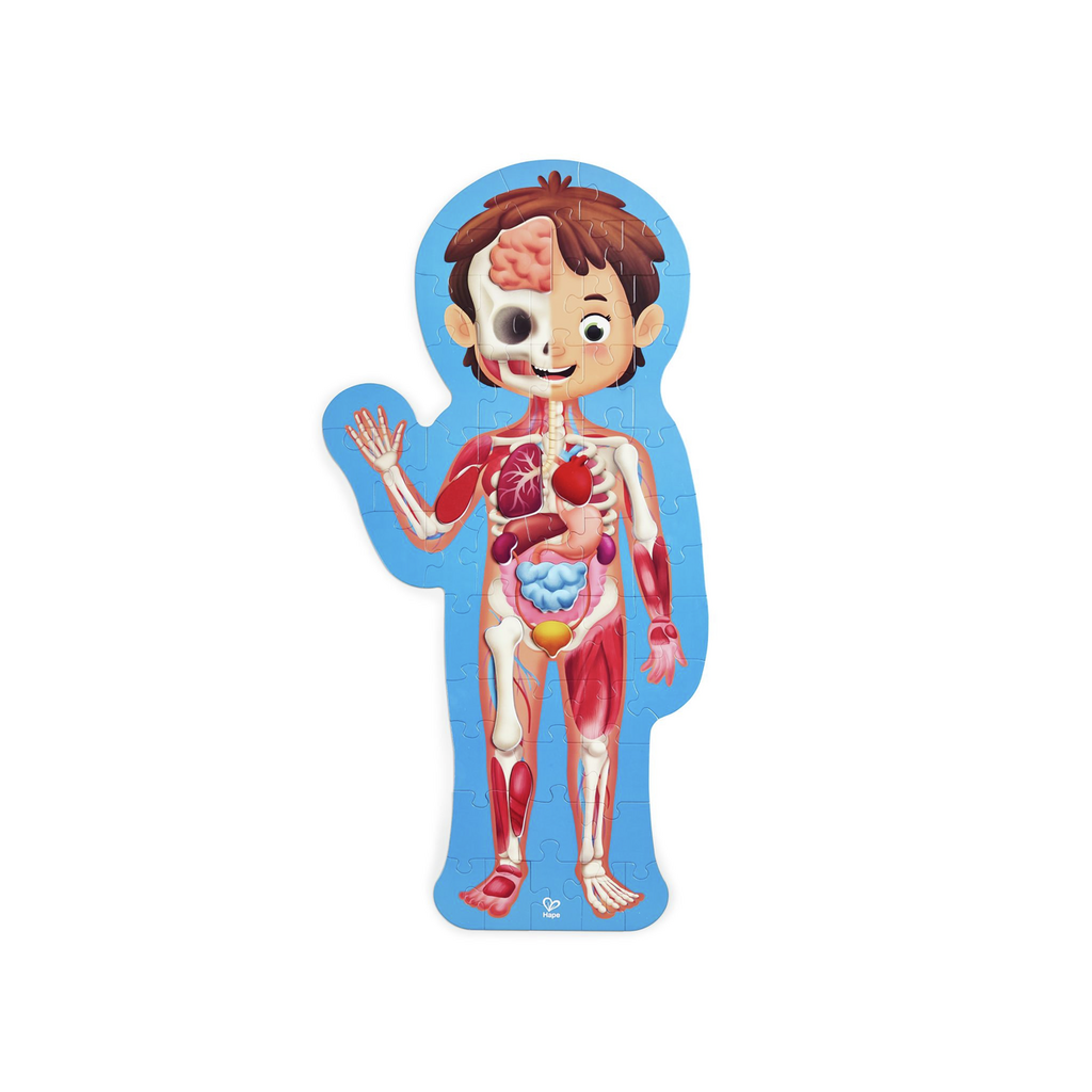 Hape rompecabezas cuerpo humano